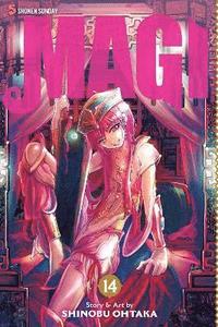 bokomslag Magi: The Labyrinth of Magic, Vol. 14