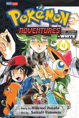Hidenori Kusaka - Pokémon Adventures: Black and White, Vol. 4, Häftad