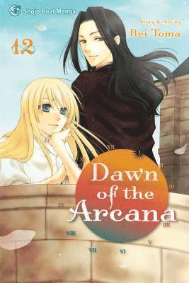 bokomslag Dawn of the Arcana, Vol. 12: Volume 12