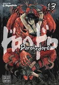 bokomslag Dorohedoro, Vol. 13