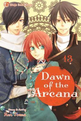 bokomslag Dawn of the Arcana, Vol. 13
