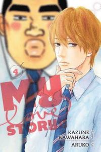 bokomslag My Love Story!!, Vol. 4: Volume 4