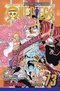 bokomslag One Piece, Vol. 73