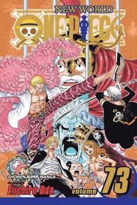 bokomslag One Piece, Vol. 73: Volume 73