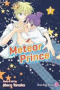 bokomslag Meteor Prince, Vol. 1