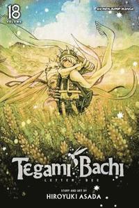 bokomslag Tegami Bachi, Vol. 18