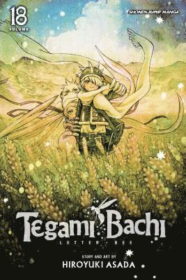bokomslag Tegami Bachi, Vol. 18