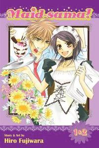 bokomslag Maid-sama! (2-in-1 Edition), Vol. 1: Volume 1