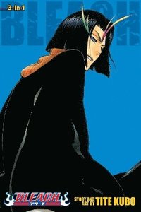 bokomslag Bleach (3-in-1 Edition), Vol. 13