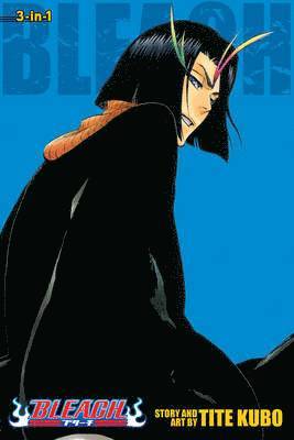 Bleach (3-in-1 Edition), Vol. 13: Volume 13 1