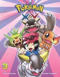 bokomslag Pokmon XY, Vol. 3