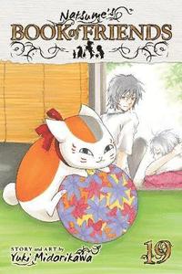 bokomslag Natsume's Book of Friends, Vol. 19: Volume 19