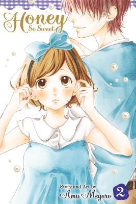 Amu Meguro - Honey So Sweet, Vol. 2, Häftad