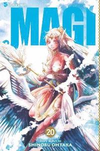 bokomslag Magi: The Labyrinth of Magic, Vol. 20