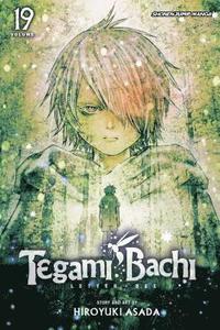 bokomslag Tegami Bachi, Vol. 19