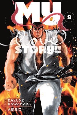 Kazune Kawahara - My Love Story!!, Vol. 9, Häftad