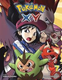 bokomslag Pokmon XY, Vol. 7: Volume 7