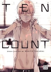 bokomslag Ten Count, Vol. 1: Volume 1