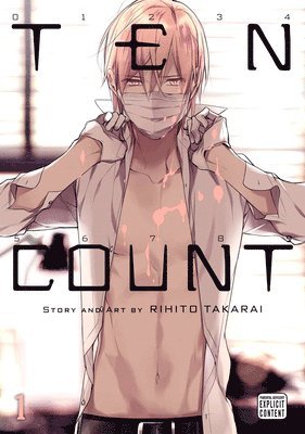 bokomslag Ten Count, Vol. 1