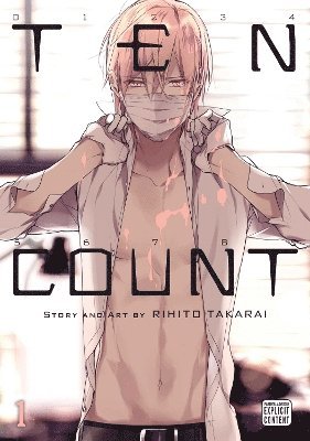 bokomslag Ten Count, Vol. 1: Volume 1