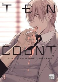 bokomslag Ten Count, Vol. 3