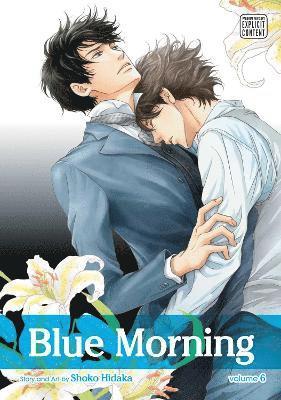 bokomslag Blue Morning, Vol. 6