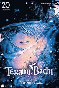 bokomslag Tegami Bachi, Vol. 20