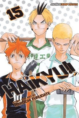 bokomslag Haikyu!!, Vol. 15