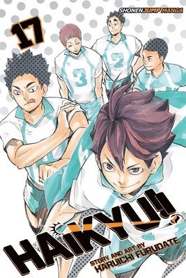 bokomslag Haikyu!!, Vol. 17