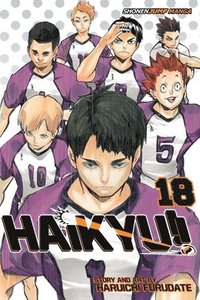 bokomslag Haikyu!!, Vol. 18