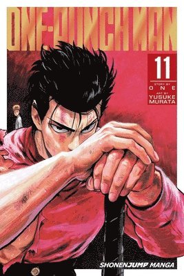 bokomslag One-Punch Man, Vol. 11