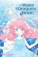 bokomslag The Water Dragon's Bride, Vol. 1