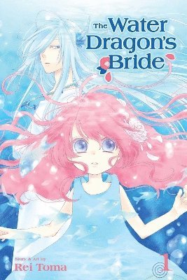 bokomslag The Water Dragon's Bride, Vol. 1: Volume 1