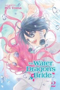 bokomslag The Water Dragon's Bride, Vol. 2: Volume 2