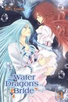 bokomslag The Water Dragon's Bride, Vol. 3