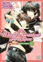 bokomslag The World's Greatest First Love, Vol. 6