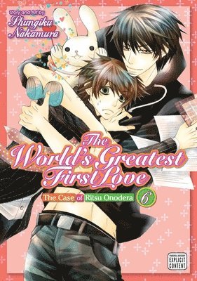 bokomslag World's Greatest First Love, Vol. 6