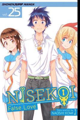 bokomslag Nisekoi: False Love, Vol. 25: Volume 25