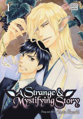 bokomslag Strange & Mystifying Story, Vol. 1