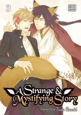 Strange & Mystifying Story, Vol. 3