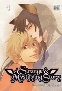 bokomslag A Strange & Mystifying Story, Vol. 4: Volume 4