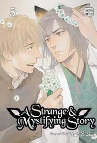 bokomslag A Strange & Mystifying Story, Vol. 5: Volume 5