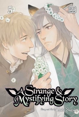 bokomslag Strange & Mystifying Story, Vol. 5