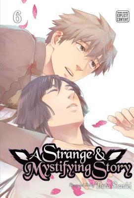 bokomslag A Strange & Mystifying Story, Vol. 6: Volume 6