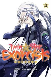 bokomslag Twin Star Exorcists, Vol. 11