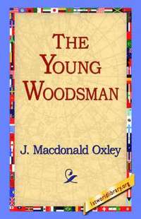 bokomslag The Young Woodsman