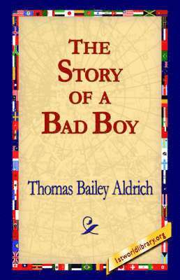 bokomslag The Story of a Bad Boy