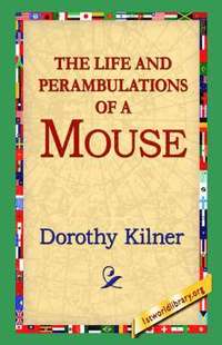 bokomslag The Life and Perambulations of a Mouse