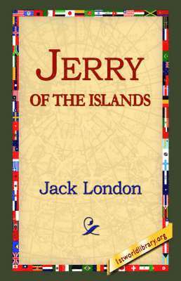 bokomslag Jerry of the Islands