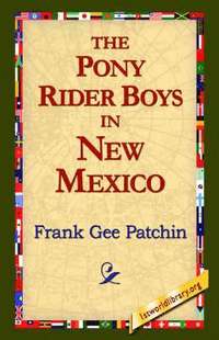 bokomslag Pony Rider Boys in New Mexico